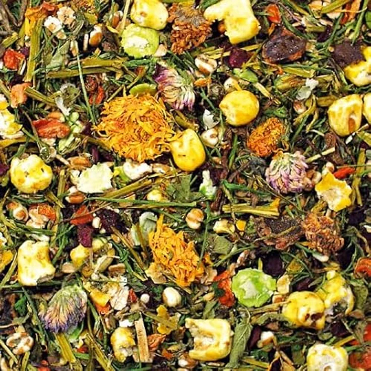 JR FARM Degu-Spezial, 10 kg Alleinfutter-Mischung für Degus, zuckerfrei und gentechnikfrei, mit Kräutern und Blüten – Bild 2