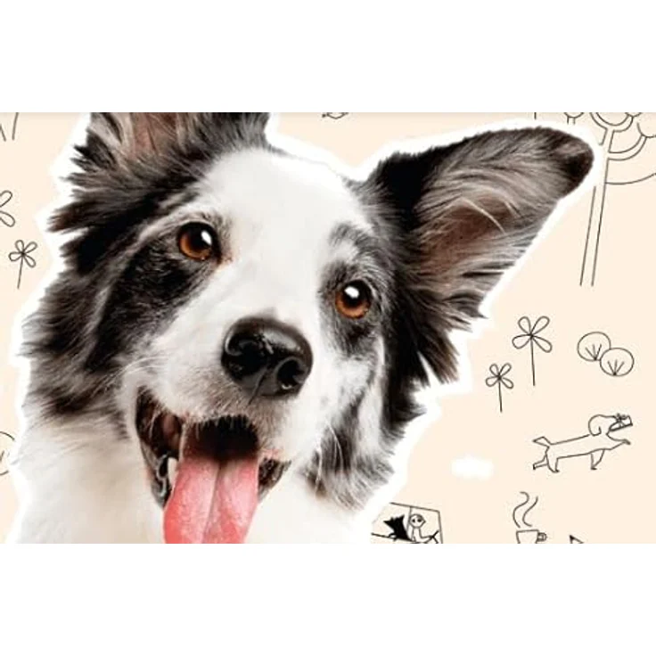 GRAU Trockenfutter für Hunde – Geflügel, 1 x 3 kg, getreidefrei, für sensible, erwachsene Hunde, glutenfrei – Bild 5