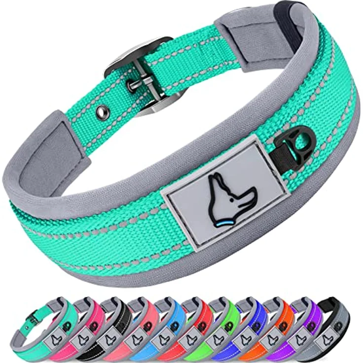 Joytale Gepolstertes Hundehalsband aus Neopren, Reflektierend und Robust für große Hunde, Türkis – Bild 1