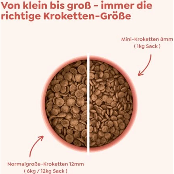 WOW Adult Lachs, Premium Hunde-Trockenfutter für alle Rassen, 6 kg, glutenfrei und reich an Omega-3-Fettsäuren – Bild 7