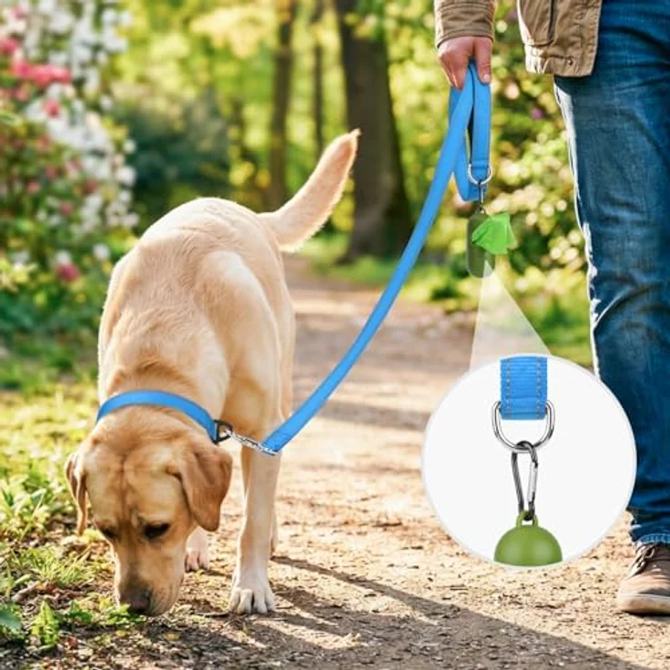 Joytale Hundeleine für Große und Mittelgroße Hunde, Doppelseitig Reflektierende Nylonleine mit Gepolstertem Griff, 1,2m x 2,5cm, Blau – Bild 2