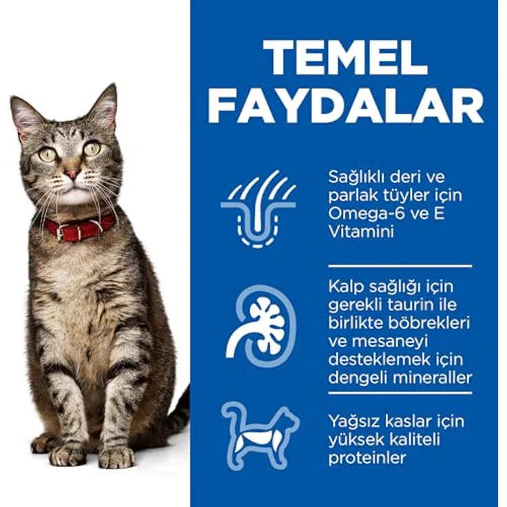 Hill's Feline Adult Trockenfutter mit Huhn, 10kg - Hochwertige Ernährung für Katzen, UK-Qualität – Bild 3