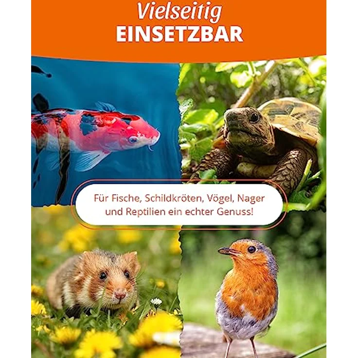 petifool Koi Seidenraupen 1,5kg – getrocknete Seidenraupen, 100% natürlich, proteinreicher Insektensnack für Schildkröten, Fische, Vögel und Reptilien – Bild 3