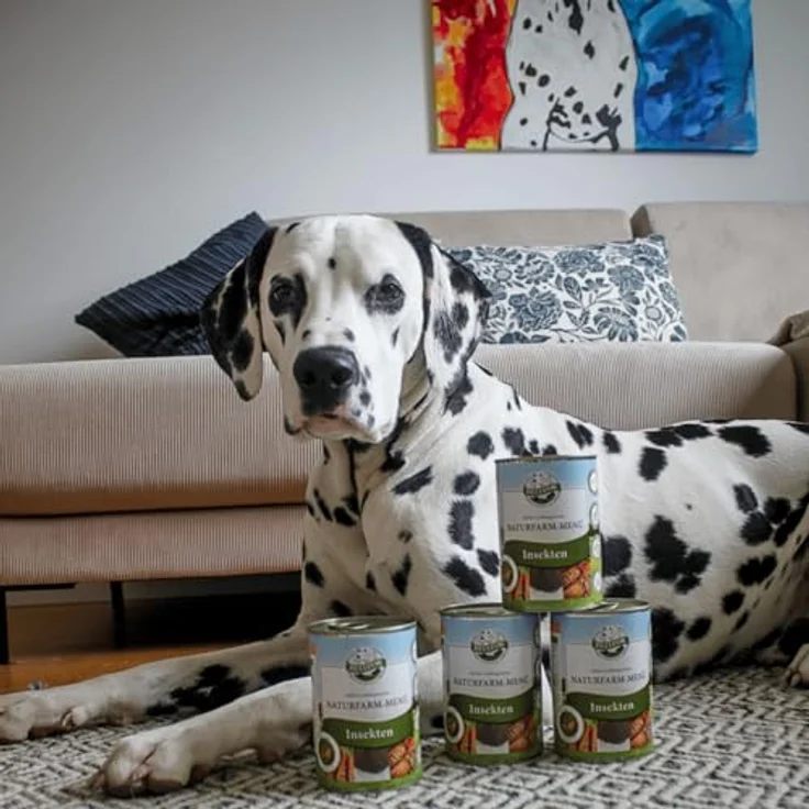 Bellfor Naturfarm-Menü, Nassfutter für Hunde mit Insekten und Tapioka, hypoallergen, 800g – Bild 4