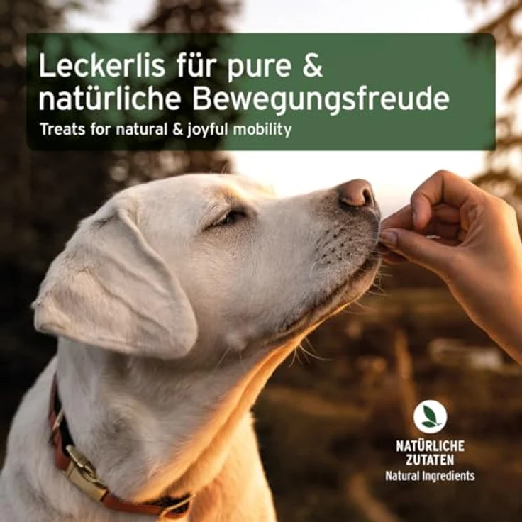 AniForte Gelenk Snack 300g, Ergänzungsfuttermittel für bewegliche Hunde mit Hähnchenfleisch, Grünlippmuschel, Collagen und Teufelskralle – Bild 6