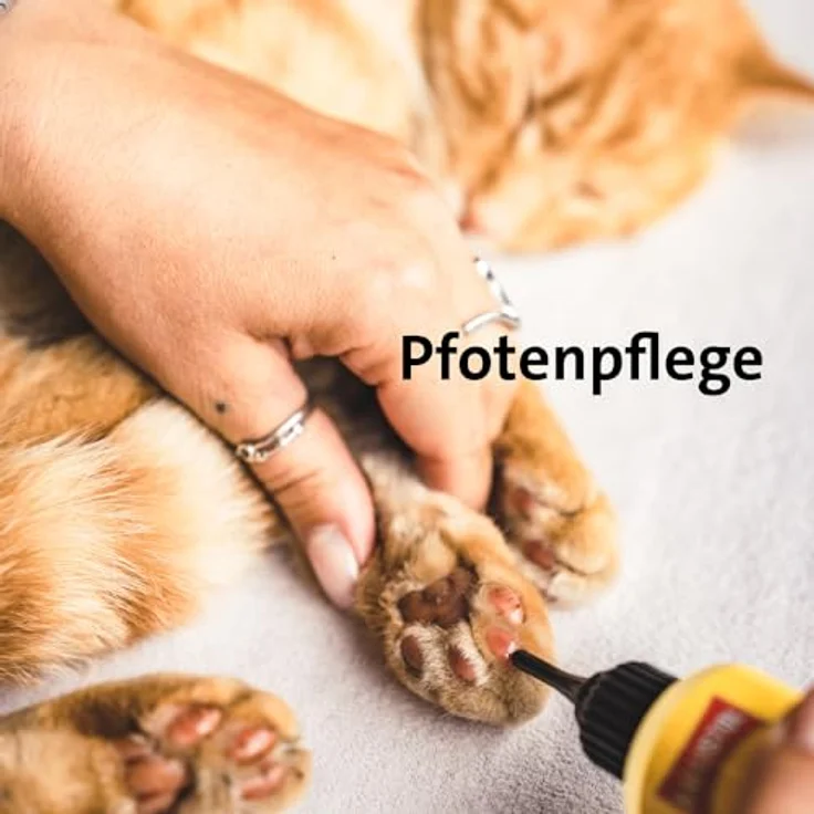 Kerbl Pfotenpflege BALLISTOL Tierpflegeöl Animal, 100 ml für empfindliche Haut und Pfotenpflege, hohe Verträglichkeit – Bild 8