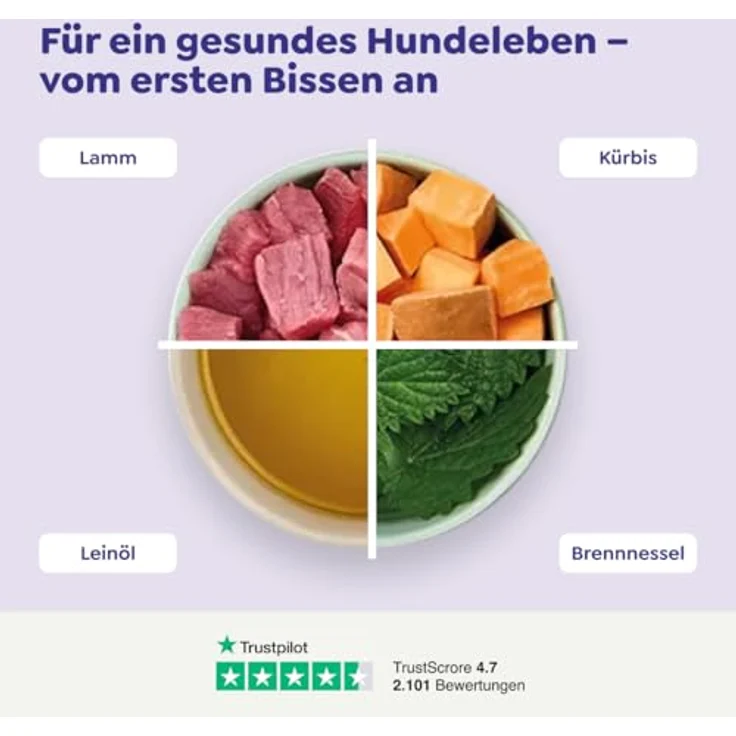 WOW Adult 6 x 400 g - Lamm, Hochwertiges Hunde-Nassfutter mit hohem Fleischgehalt, getreidefrei, unterstützt Haut und Fell, ohne Zuckerzusatz – Bild 4