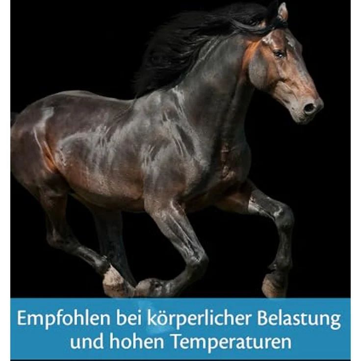 EQUISTRO® Energy Booster, Ergänzungsfuttermittel für Pferde mit hochkonzentrierten Nährstoffen für Ausdauer und Leistungsfähigkeit, ADMR-konform, 20g – Bild 5
