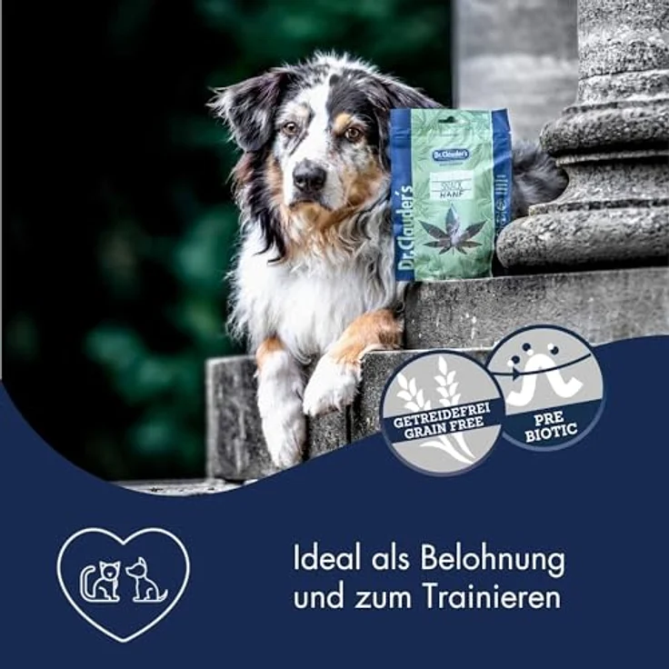 Dr.Clauder's Trainee Snack Hanf, ballaststoffreiche Leckerlis mit Omega-3 und Omega-6 für Hunde und Katzen, getreidefrei, 80g Frischebeutel – Bild 2