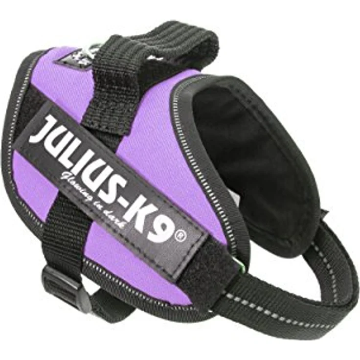 Julius-K9 K9 IDC sele, str.: Mini, Halsband + Leine, Größe 49-67 cm, lila – Bild 1