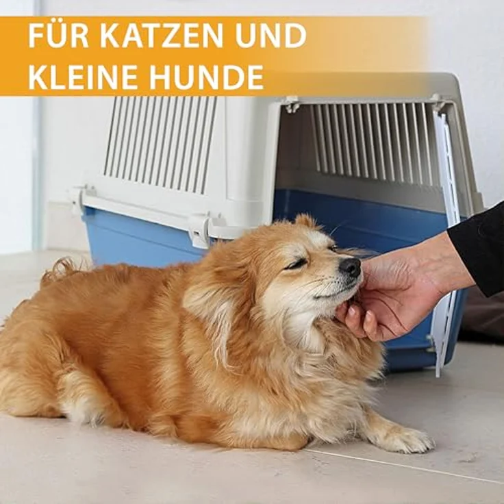 Ferplast ATLAS 30 EL, Katzentransportbox und Hundetransportbox bis 15 kg, mit plastifizierter Eisentür und Lüftungsschlitzen, 40x60xH 38 cm, blau – Bild 4