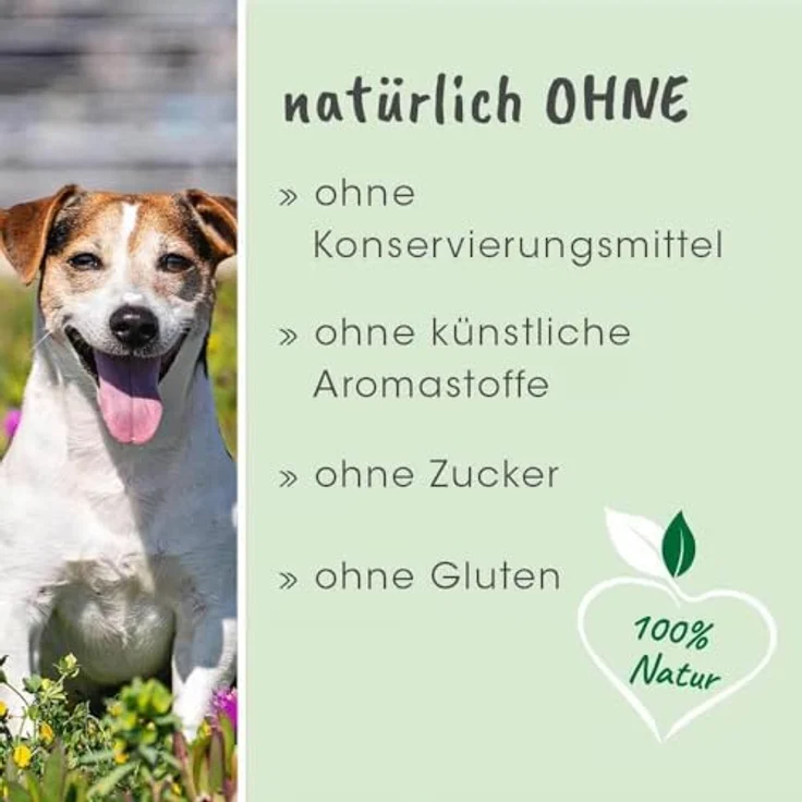 cdVet dentaVet Atemfrisch, Hundefutter-Pulver mit Chlorophyll zur Geruchsbindung, 100 g – Bild 2
