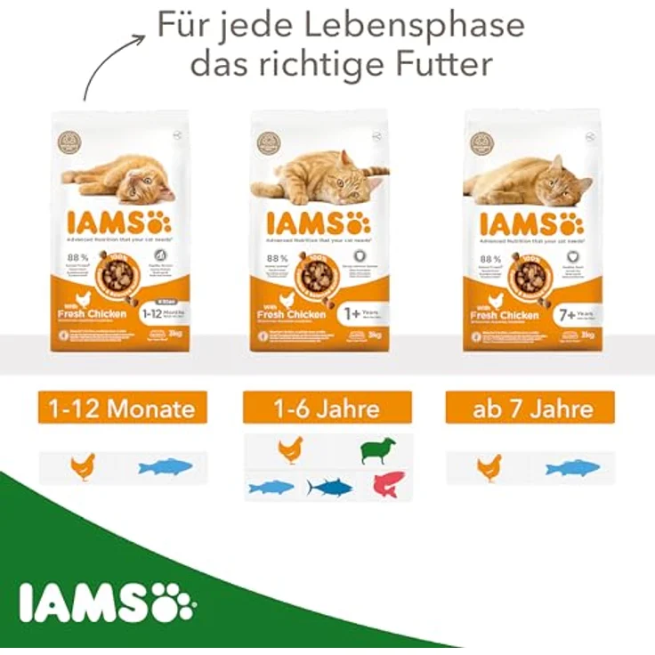 IAMS Katzenfutter trocken mit Lamm, ausgewogenes Trockenfutter für Katzen 1-6 Jahre, 3 kg, weizenfrei, mit Omega-3- und Omega-6-Fettsäuren – Bild 4