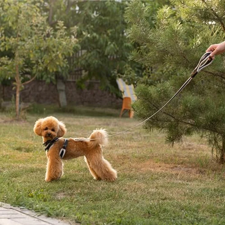 Ferplast ERGOCOMFORT SMALL, verstellbares und gepolstertes Hundegeschirr mit doppeltem Mikroverstellverschluss und Schnellverschluss, Rot – Bild 2