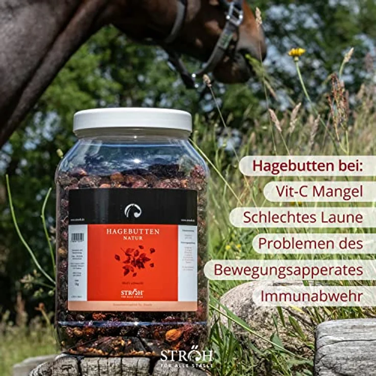 STRÖH Hagebutten für Pferde, 1kg ganze Früchte als Leckerli oder Snack, naturbelassen & schonend getrocknet – Bild 4