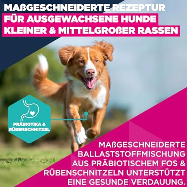 Eukanuba Hundefutter Trocken mit Lachs und Gerste, Premium für kleine und mittelgroße Rassen, 12 kg, mit L-Carnitin und DentaDefense – Bild 3