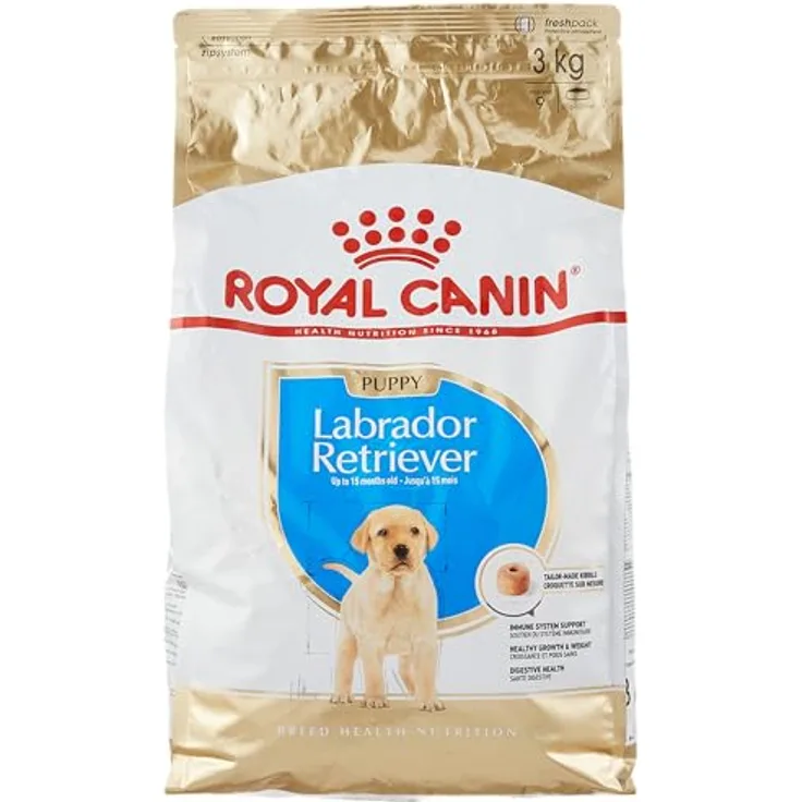 Royal Canin Labrador Junior, Hunde-Trockenfutter für junge Labradore mit optimaler Nährstoffversorgung