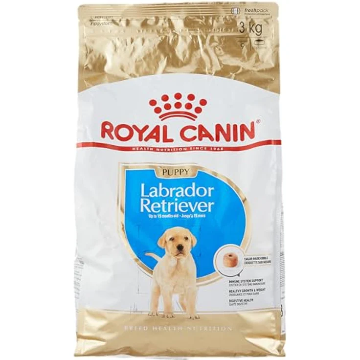 Royal Canin Labrador Junior, Hunde-Trockenfutter für junge Labradore mit optimaler Nährstoffversorgung – Bild 1