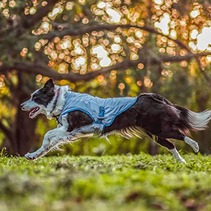 Kurgo Hundekühlweste - Sommer-Kühljacke mit Reflektierenden Akzenten, Grau, Größe L – Bild 2