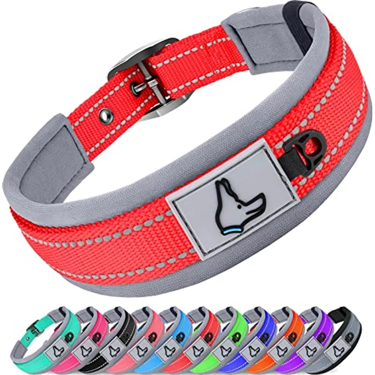 Joytale Hundehalsband, Gepolstertes Neopren-Halsband für Mittelgroße Hunde, Nylon mit Reflektierenden Nähten, Rot – Bild 1