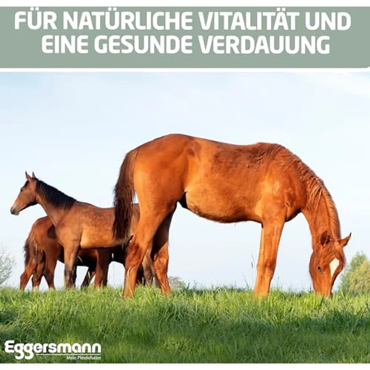 Eggersmann Mein Pferdefutter Weserland Mash, getreidefrei 15 kg, zur Unterstützung der Verdauung für Pferde mit Stoffwechselproblemen – Bild 4