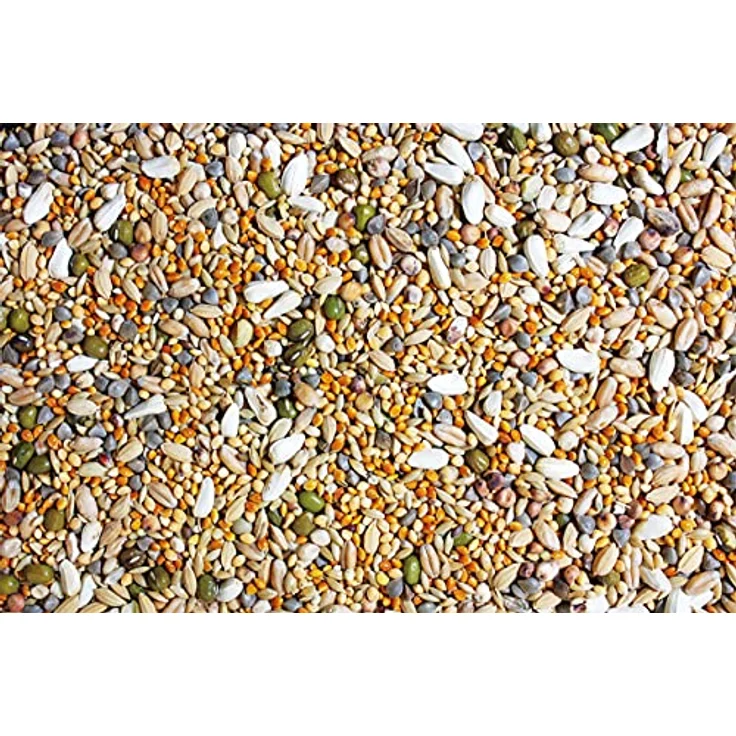 JR FARM Birds Keimfutter Großsittich, 1 kg, hochwertiges Ergänzungsfutter aus frisch gekeimten Qualitätssaaten, gentechnikfrei, made in Germany – Bild 2