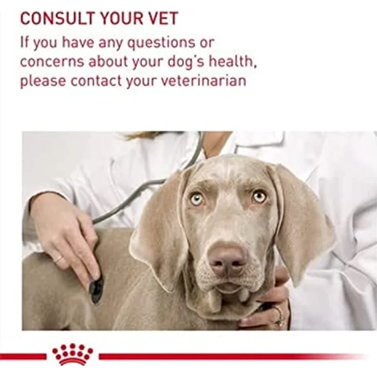 Royal Canin Digestive Care Medium, Trockenfutter für mittelgroße Hunde mit empfindlicher Verdauung, 12 kg – Bild 9