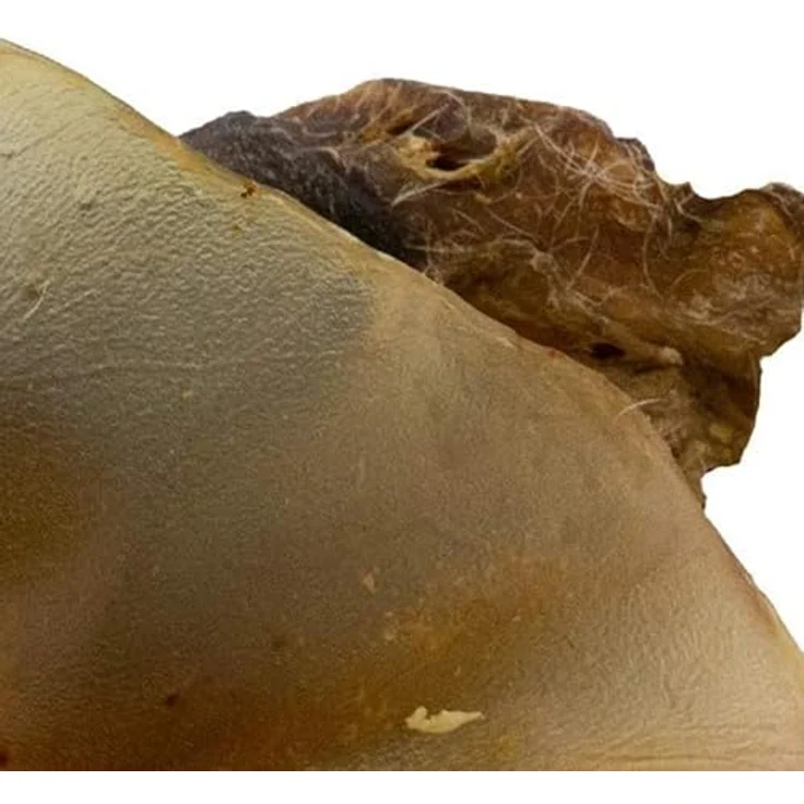 SnackOMio Premium Hundesnack, knusprige Rinderohren mit Muschel, getreidefrei, lufttrocknet, 1 Packung (650g) – Bild 3