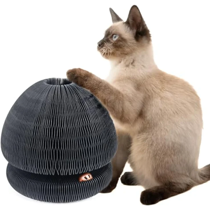 CanadianCat Company Kratzspielzeug Champi - Kratzpappe mit Spielschienen und Spielbällen, schwarz | Ø 16,2 x 18 cm, langlebig und umweltfreundlich – Bild 1