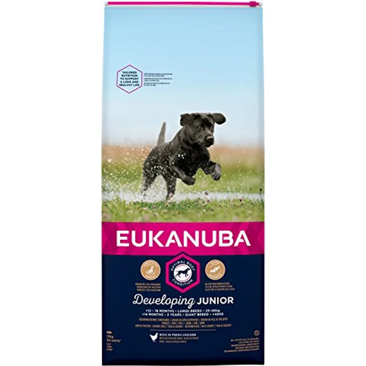 Eukanuba Developing Junior Large Breed, Hundefutter mit frischem Huhn, 12 kg, verbessertes Trockenfutter für gesunde Verdauung und Zahnpflege