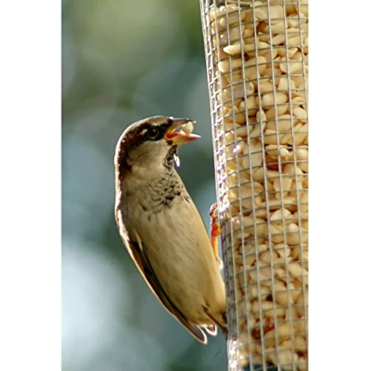 dobar 11523 Großer Futterspender für Vögel mit Edelstahlgitter, XL Futterstation-Futtersäule für Wildvögel zum Aufhängen, 9.5 x 9.5 x 39 cm, Metall – Bild 4