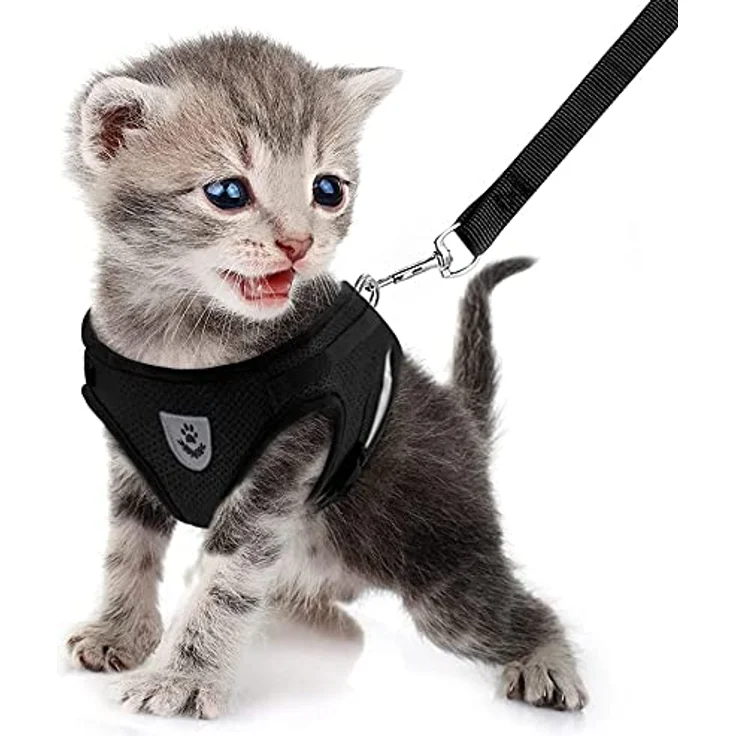 FEimaX Hundegeschirr und Leinen Set, Weich Mesh Gepolstert, Reflektierend, Verstellbar, Atmungsaktiv für Welpen und Katzen, ideal für Gehen, Laufen und Training – Bild 4