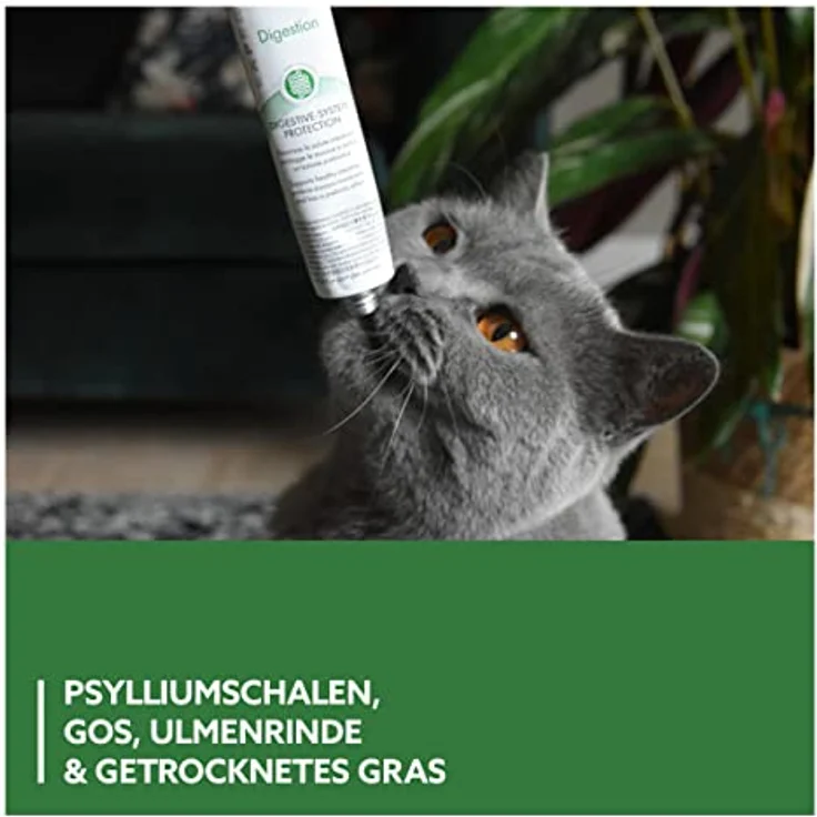 GimCat Gastro Intestinal Paste, Verdauungsfördernde Paste für Katzen mit Ulmenrinde, 50 g – Bild 4