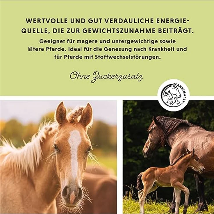 Annimally Weight Gainer Pulver für Pferde, Aufbaufutter mit Sojaprotein, Hanföl, Bockshornklee, Luzerne & Pfefferminze, vegan, ohne Zuckerzusatz, für Gewichts- und Muskelaufbau – Bild 3