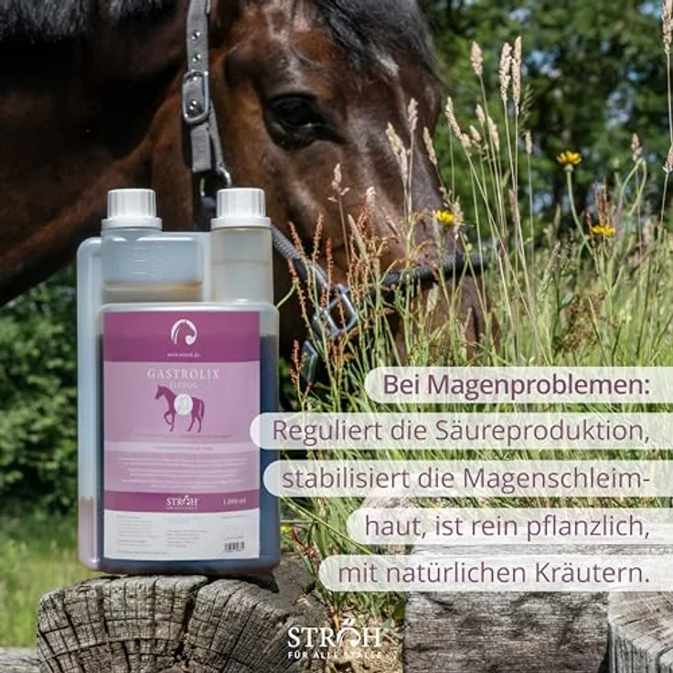 STRÖH GASTROLIX (1l), Kräutermischung zur Stabilisierung des Magen-Darm-Trakts für Pferde, zuckerfrei, natürlicher Magenschutz für empfindlichen Magen – Bild 4