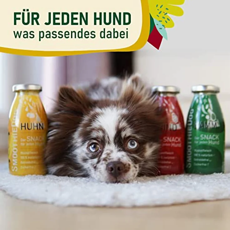SmoothieDog Hunde Smoothie 12er Mix, flüssiges Hundeleckerli mit Huhn, Rind & Lamm, zucker- & glutenfrei, 250ml pro Flasche – Bild 2