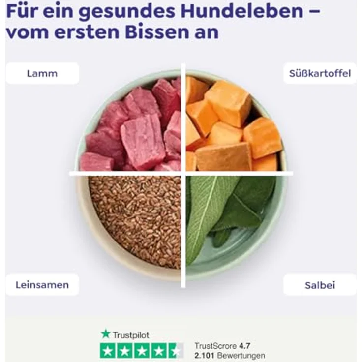 WOW Adult Lamm, Trockenfutter für Hunde mit hohem Proteinanteil, getreidefrei, 6 kg – Bild 4