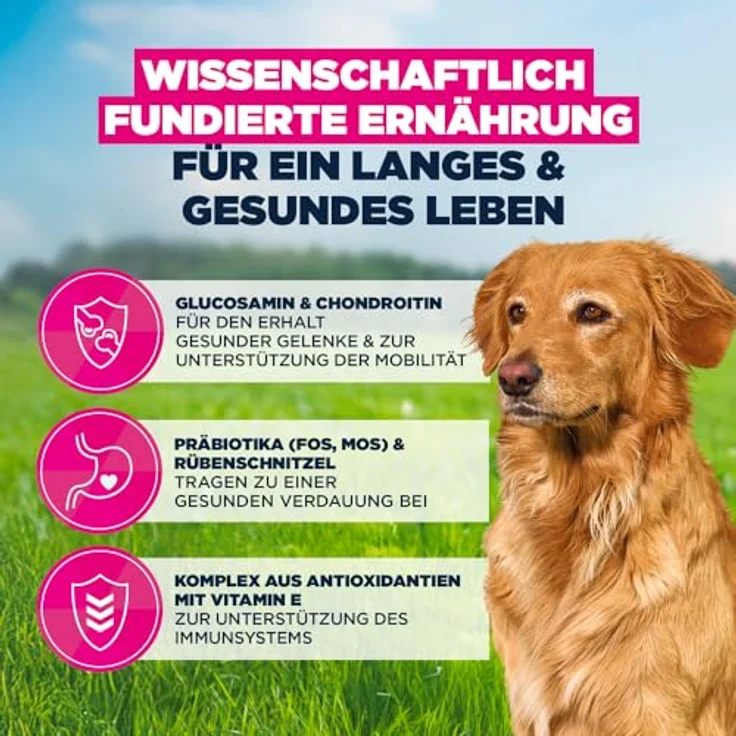 Eukanuba Senior Hundefutter mit Lamm und Reis für große Rassen, 12 kg - Premium Trockenfutter für ältere Hunde mit gesunder Verdauung und Gelenkschutz – Bild 5