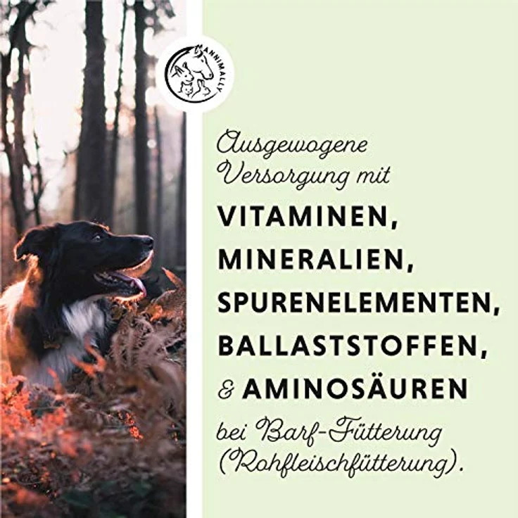 Annimally Super Barf Complete, 1 kg Barf Zusatz Pulver für Hunde mit Vitaminen, Mineralien und natürlichen Inhaltsstoffen, ideal für alle Altersstufen – Bild 2