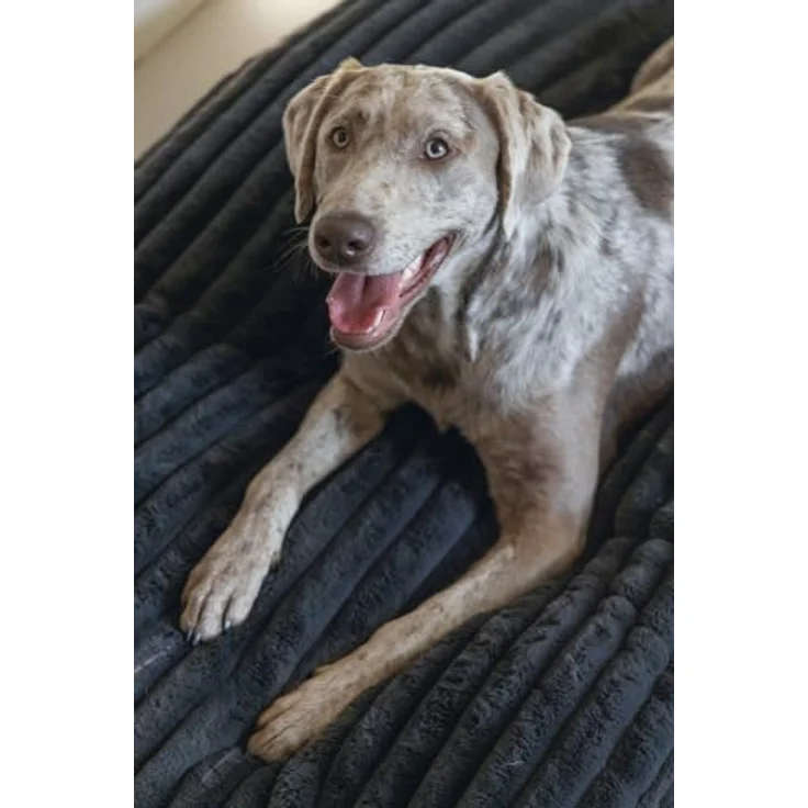 Designed By Lotte Tierkissen Hundekissen Reza anthrazit - Stilvolles Hundekissen aus recyceltem Polyester mit rutschfester Unterseite – Bild 3