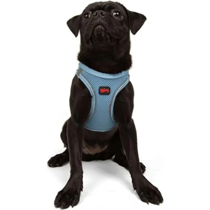 Tailpetz Air-Mesh Brustgeschirr für kleine und mittelgroße Katzen und Hunde – Weich, Atmungsaktiv, Strapazierfähig, Blau, M (Brustumfang 53–59cm) – Bild 1