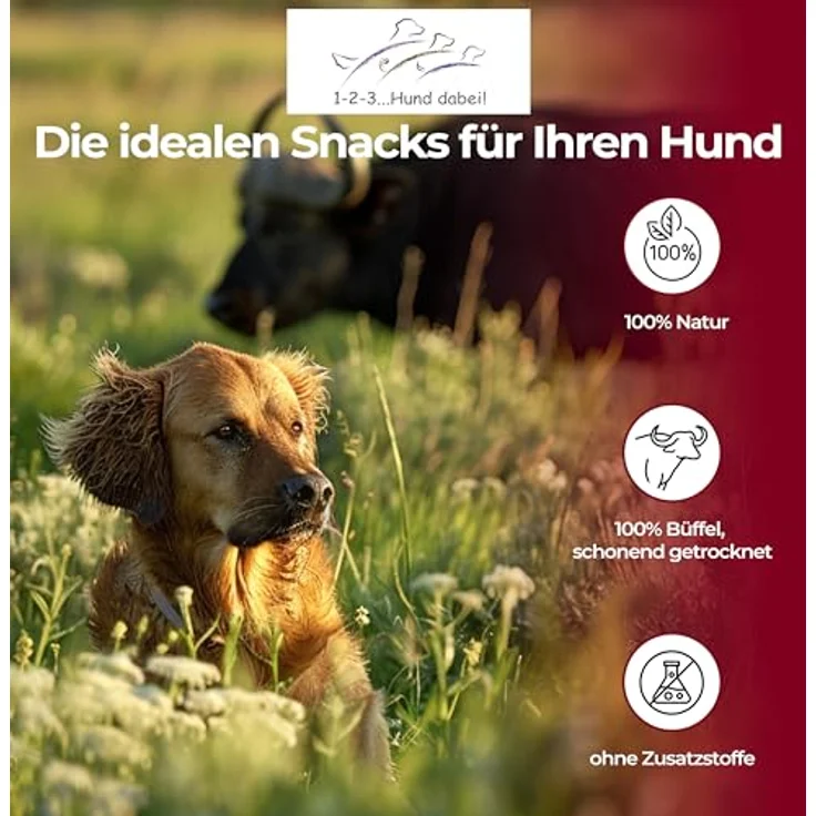 123... Hund dabei! Büffellunge Rinderlunge für Hunde, 100% natürlich, schonend getrocknet, fettarm, proteinsreich, 150g – Bild 4