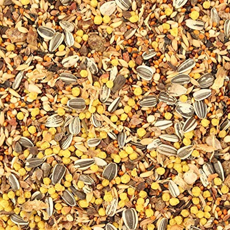 Vitakraft vk21644-v0parent, Vogelfutter für Australische Papageien, 750g, Qualitätsprodukt im 2er Pack – Bild 2