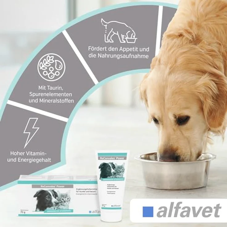 Alfavet ReConvales Power, Diät-Ergänzungsfuttermittel für Hunde und Katzen, hochkalorische Päppelpaste bei Untergewicht, Tube 70 g – Bild 2