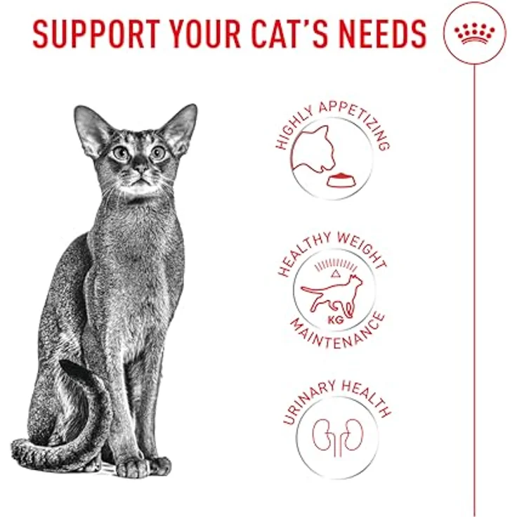 ROYAL CANIN Fussy Exigent, 2 kg Alleinfuttermittel für ausgewachsene wählerische Katzen, proteinreich mit spezieller Krokettenform und drei Aromenprofilen – Bild 3