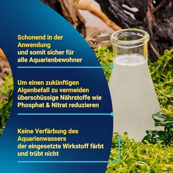 Tetra AlguMin, Algenbekämpfungsmittel zur effektiven Bekämpfung aller Algenarten, 100ml Flasche – Bild 5