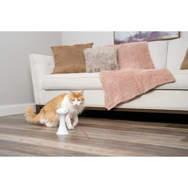 PetSafe Multi-Light Katzenspielzeug, Automatisches Lichtspielzeug zur aktiven Beschäftigung, 0,34 kg – Bild 3