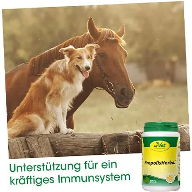 cdVet PropolisHerbal 190g, Propolis Nahrungsergänzung für Hunde, Katzen, Nager und Pferde, 100% Naturprodukt mit Flavanoiden und Spurenelementen – Bild 4