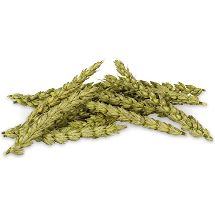 JR FARM Knabber-Ähren, 30 g – Natur pur für Nager und Vögel, reich an Vitaminen und Mineralien, gentechnikfrei, Made in Germany – Bild 2