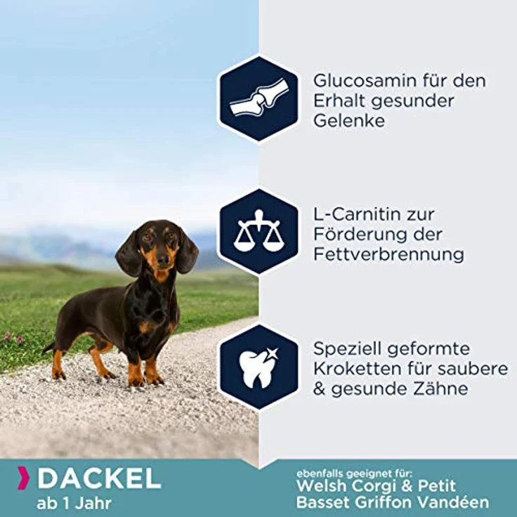 Eukanuba Breed Specific Dackel Trockenfutter, Premium Hundefutter mit Huhn, Glucosamin & Chondroitin, 2,5 kg – Bild 4